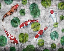 Factura FAUNA KOI 6